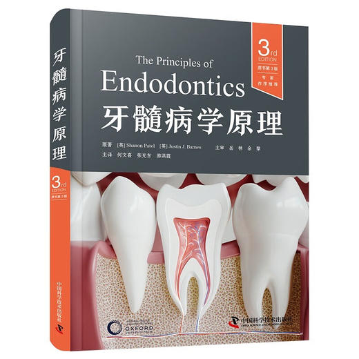 牙髓病学原理（原书第3版） 商品图0