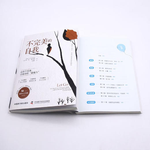 不完美的自我：接纳与放手，让自己活得更有韧性 商品图8
