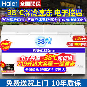 海尔（Haier）冰柜家用商用大容量双开门冰柜300/500升以上一级能效超低温海鲜速冻全冷冻冷藏茶叶卧式冷柜冰箱 719升双开门商用大容量+长1.86米 719L