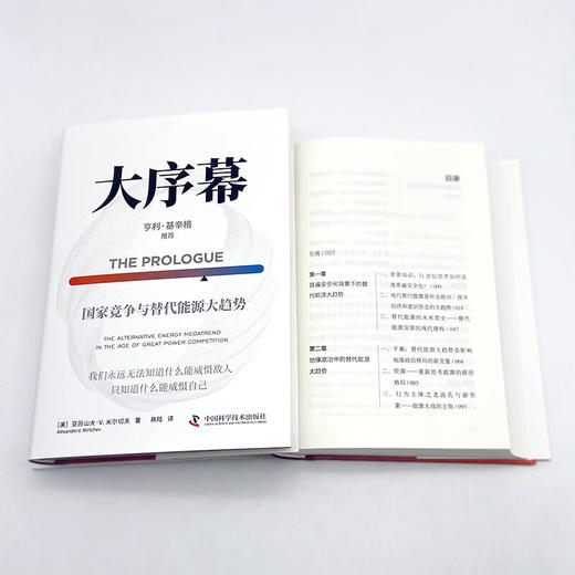 大序幕：国家竞争与替代能源大趋势 商品图9