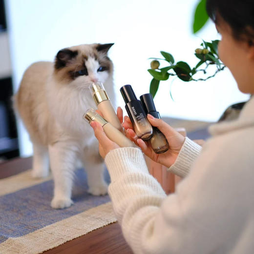 唐老师实验室出品粉底液，春季焕妆，匠心打磨研发的，轻薄透气光感粉底液，水润服帖不卡粉，越用越自然， 妆养合一，呵护肌肤屏障，愿新的一年美出新模样💗 商品图2