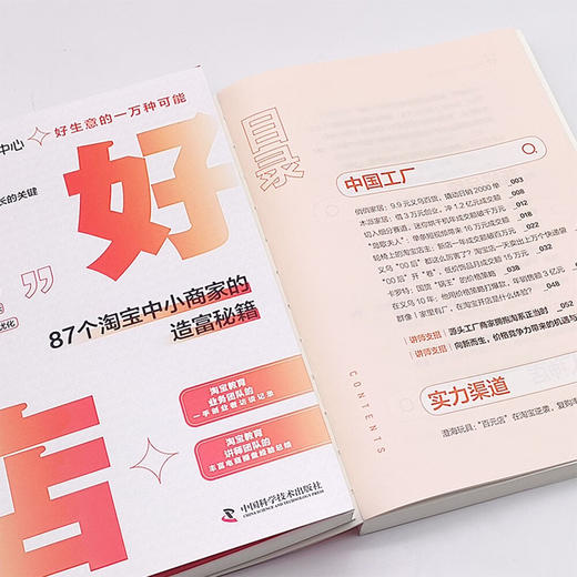 好店：87个淘宝中小商家的造富秘籍 商品图8