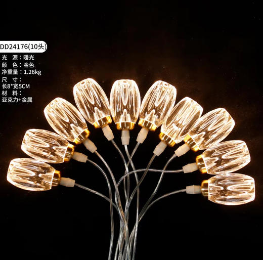 DD24176-10头灯串（运费自理） 商品图0