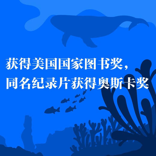 我们的海洋：展现充满美与力量的海洋世界（精装典藏版） 海洋环保三部曲系列丛书 商品图2