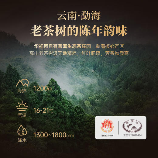华祥苑 普洱茶 小金砖 普洱熟茶160g 商品图4