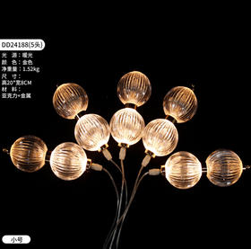 DD24188-5头灯串（运费自理）