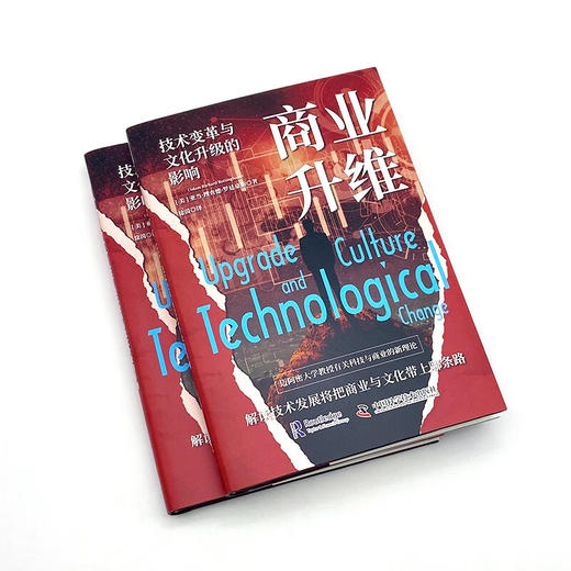 商业升维：技术变革与文化升级的影响 商品图3