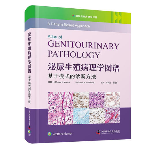 泌尿生殖病理学图谱：基于模式的诊断方法 国际经典病理学译著（精装） 商品图0