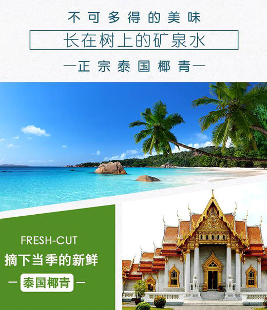 泰国椰青 商品图4