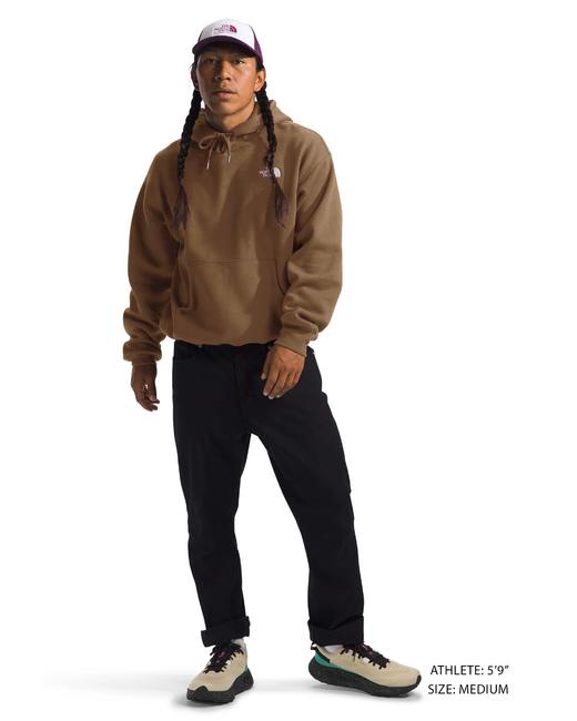 限时好折！The NorthFace北面男款帽衫卫衣 商品图7