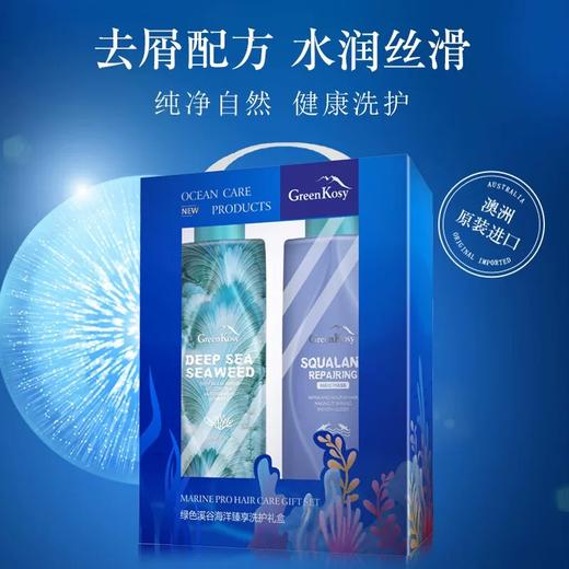 绿色溪谷海洋臻享洗护礼盒B（绿色溪谷深海海藻控油去屑洗发乳480ml+绿色溪谷角鲨烷滋养修护发膜480ml） 商品图1