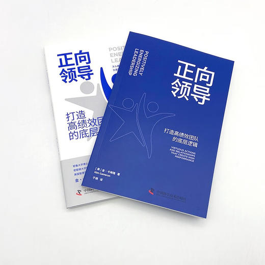正向领导：打造高绩效团队的底层逻辑（“正向领导力之父”金·卡梅隆全新力作） 商品图5