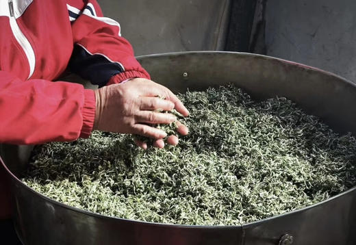 【无锡专拍】（半日亲子）上春山，采春茶，挖春笋，采草莓，用双手制作春天 商品图2