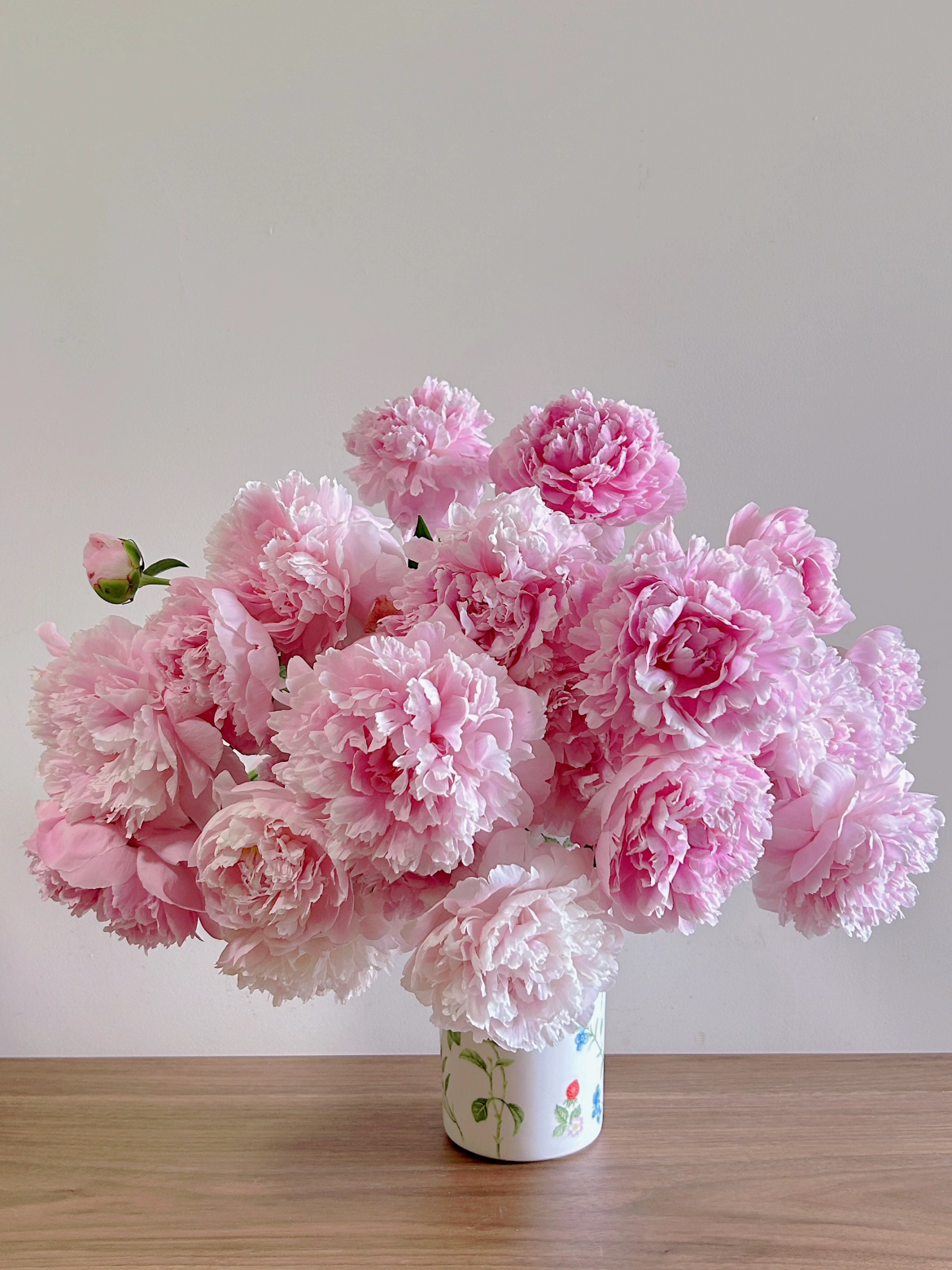 芍药丨A级莎拉丨新西兰进口