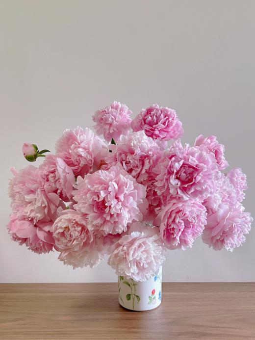 芍药丨A级莎拉丨新西兰进口 商品图0