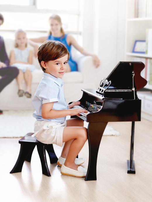 Hape儿童钢琴30键仿真早教钢琴木质儿童玩具3-6岁男孩女孩儿童礼物 30键高贵粉 E0319 E0320 商品图0