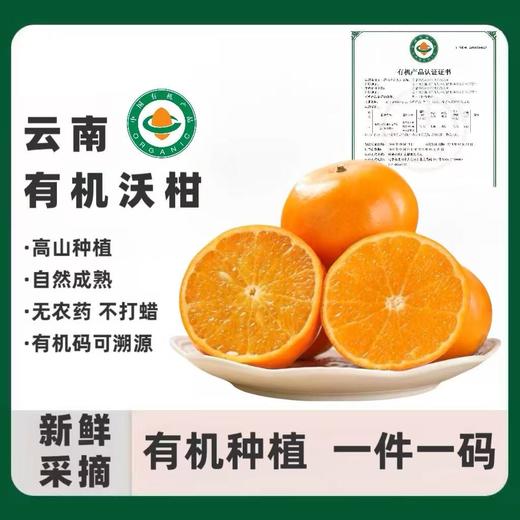 有机沃柑5斤装（果径60mm+） 商品图0