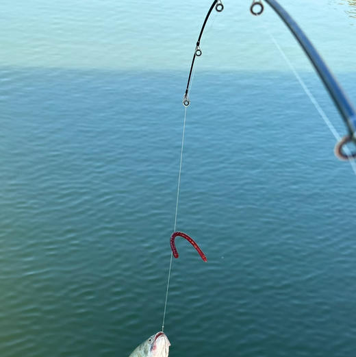 租用鱼竿 商品图0