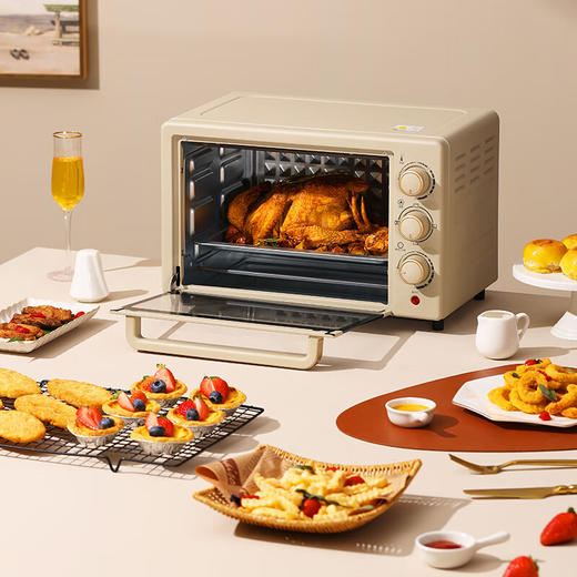 大宇电烤箱家用多功能20L电烤箱_DY-KX1801 商品图2