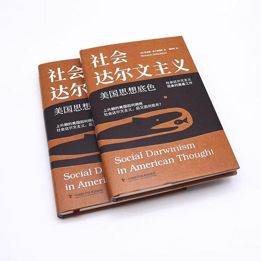 社会达尔文主义：美国思想底色 商品图4
