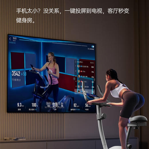 西屋Westinghouse心率监测磁控动感单车_WB18-WH 商品图2