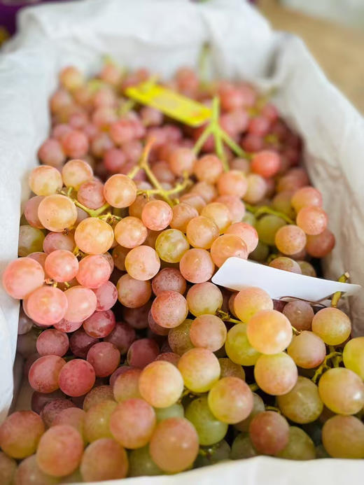 【进口】自带浓郁荔枝香  澳洲荔枝香玻璃提  小众品种 圆滚滚晶莹剔透 果粒坚实紧致 甜度高而不腻 一口咬下去，简直脆噗噗地爆汁，甜蜜入心。 商品图6