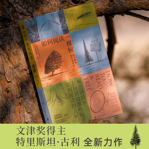如何阅读一棵树：探寻树木的生命密语 商品图2