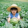 🍉【森林小农夫招募】西瓜成长营｜从种子到甜蜜的绿野实践课 商品缩略图0
