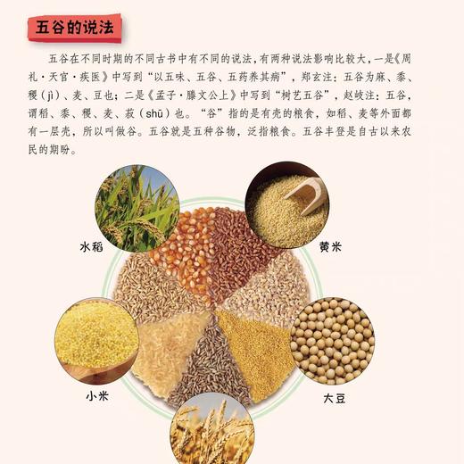 藏在食物里的自然历史全4册五谷丰登的故事节气歌中的智慧一片良田的耕耘来自丝路的美食杨芳编著中国和平出版社二十四节气 商品图2