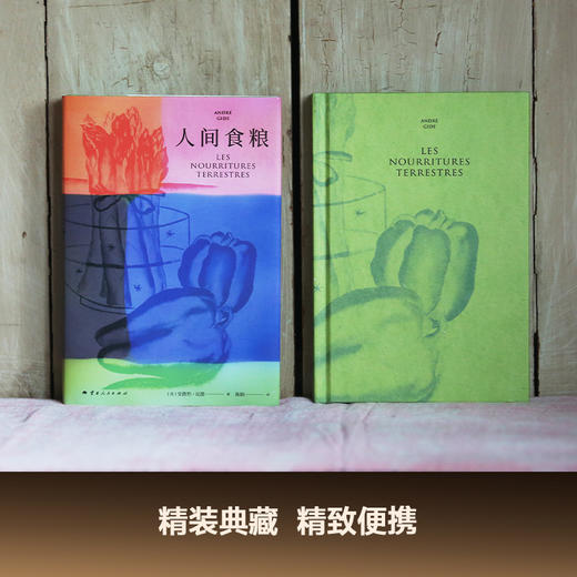 《人间食粮》 纪德著 诺贝尔文学奖得主《窄门》作者纪德作品 商品图3