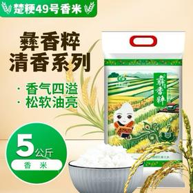 彝香粹 楚粳49号香米清香系列香米5kg