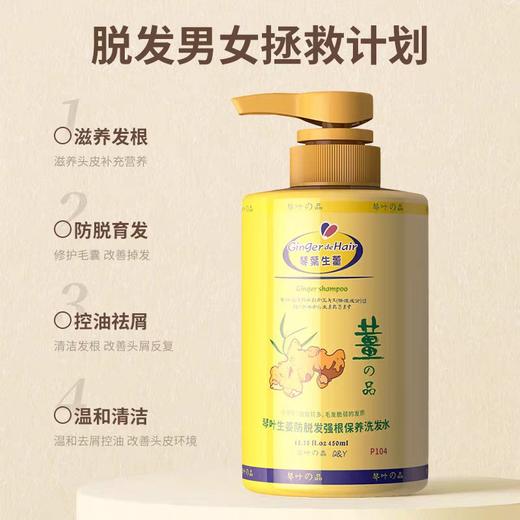 琴叶生姜保湿侧柏叶防脱发洗发水1L 多款可选/防脱/去屑/控油/滋润 商品图1