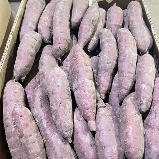 LD红瑶蜜薯 净重4.5斤 中大果（单果约3-8两） 商品图4