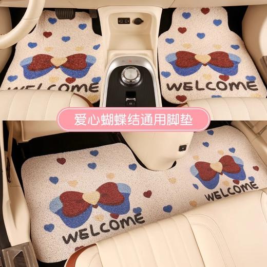 【告别灰尘！清洁更省心】四季通用卡通汽车通用丝圈脚垫可改尺寸全车脚垫三件套车用刮泥蹭土垫。ry 商品图0