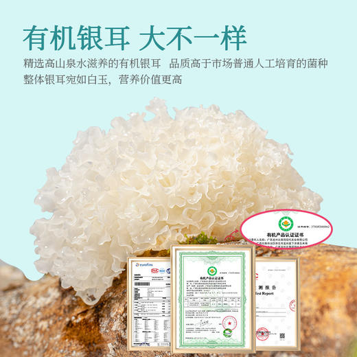 猫千岁0糖鲜炖 商品图5