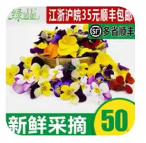 三色堇1*5g