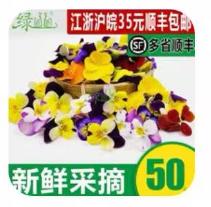 三色堇1*5g 商品图0