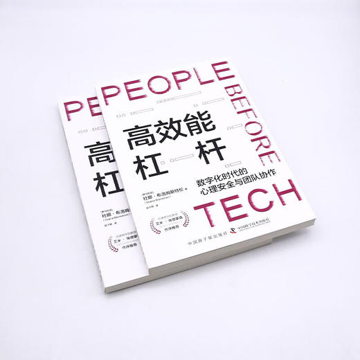 高效能杠杆：数字化时代的心理安全与团队协作 商品图4