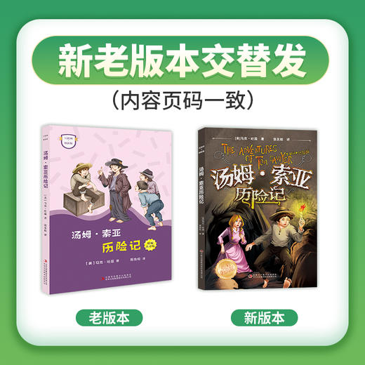 《尼尔斯骑鹅旅行记》《鲁滨逊漂流记》《汤姆索亚历险记》(新老封面混发)+导读单 商品图0