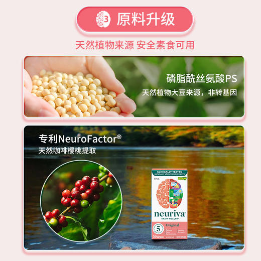 Neuriva脑动力纽睿华旭福补脑辅助成人记忆力专注力磷脂酰丝氨酸ps 商品图10
