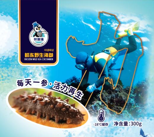 祥潮湾即食海参6A300g 商品图0