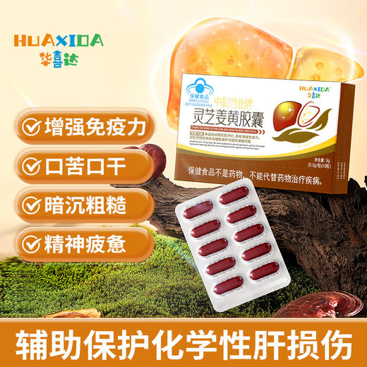 华喜达中和鸿业牌灵芝姜黄胶囊辅助保护化学性肝损伤增强免疫力 商品图0