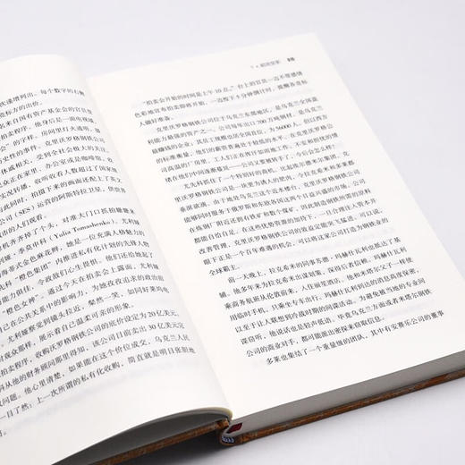 冷酷的钢铁：一场耗资322亿美元的全球钢铁并购战 商品图8