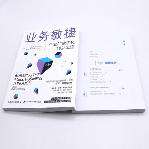 业务敏捷：企业的数字化转型之道（第2版） 商品图9