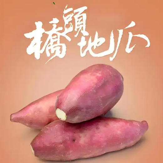 【13.8元2斤】桥头地瓜（1500535） 商品图0