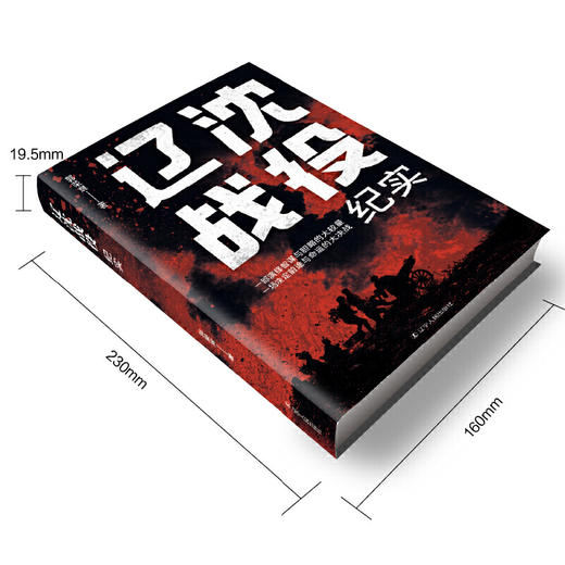 辽沈战役纪实 商品图2