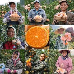 广西爆汁脏脏柑（茂谷柑）| 山人优选，敷面膜长大的茂谷柑，细腻多汁，水嫩丰盈的果粒，一吃必定念念不忘