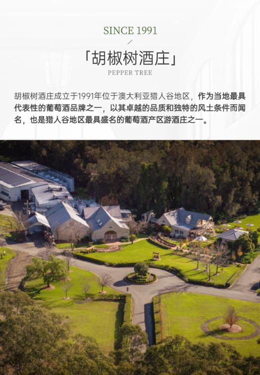 完税 澳大利亚酒   胡椒树庄园  冷气候霞多丽干白葡萄酒 商品图3