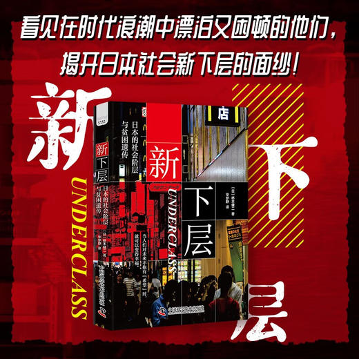 新下层：日本的社会阶层与贫困遗传 商品图0