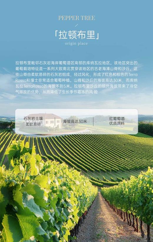 完税  澳大利亚酒  胡椒树单一园系列拉顿布里海岸线赤霞珠西拉干红葡萄酒2019 商品图2
